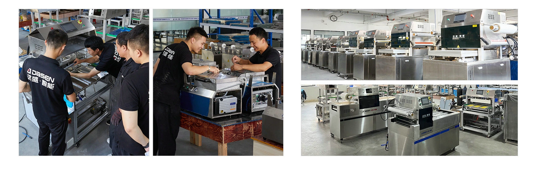 DQ810TG AUTOMATIC MODIFIED ATMOSPHERE PACKAGING INLINE MACHINE